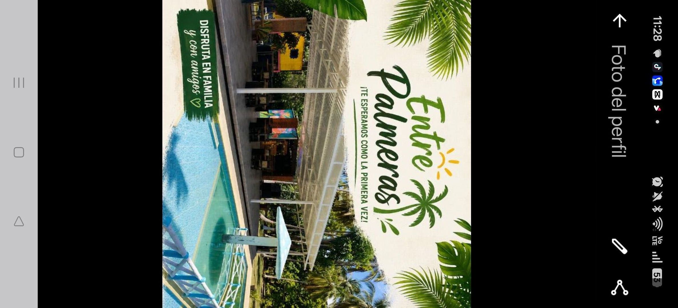 Centro recreacional entre palmeras