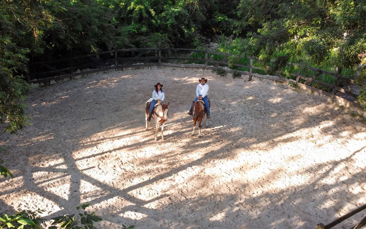 C.C.VILLA_DINO